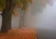 Zilele calde s-au terminat. Vin ploile şi frigul. Ce ne aşteaptă în perioada următoare 