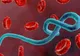 Epidemia de Ebola din Congo se extinde: peste 300 de cazuri 
