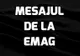 eMAG nu se mai opreste din Black Friday! Ce anunt de ultima ora au facut: „Grabeste-te...”