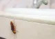 Un nou scandal privind igiena din spitale. Gândaci filmaţi cum se plimbă prin faţa sălii de operaţie