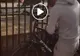 Hoț de bicicletă filmat în timpul acțiunii de un polițist 