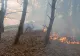 Incendiu în pădurea din apropierea cetății dacice Sarmizegetusa Regia