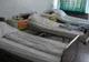 Imagini dezolante din secţia TBC a spitalului din Focşani: igrasie, saltele pătate de sânge