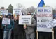 Medicii veterinari protestează la ușa lui Dăncilă. Pesta porcină s-a extins în 17 județe
