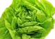 Salata verde, interzisă din cauza unei bacterii?!