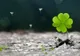 Horoscop financiar 12-18 noiembrie. Zodia care ajunge la sapă de lemn. Nimic nu o mai ridică