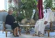 După ce a căutat bani în deșert, Dăncilă se laudă cu statisticile din România