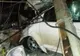 Tânăr în vârstă de 24 de ani din Dolj, mort în urma unui accident în Gorj