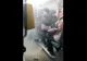 Autobuz Otokar al Primăriei București, inundat cu apă clocotită. STB: Verificări la toate autobuzele