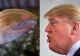 Amfibian descoperit recent, numit după... Donald Trump