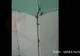 Un nou episod "Gândacul". Scene REVOLTĂTOARE filmate într-un spital, la secția CHIRURGIE 