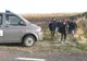 Grup de migranți oprit la granița cu Serbia in ziua de Crăciun. Surpriza polițiștilor de frontieră