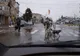 Test pentru şoferii din Moreni: cine are prioritate, câinii de pe trecere sau vacile din trafic?