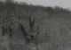 METEO: Cum va fi vremea din a doua zi de Crăciun până la Anul Nou