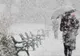 Noi surprize de la meteo! Cum va fi vremea în următoarele zile?