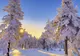 Prognoza meteo 17 decembrie - 14 ianuarie. Vremea de Crăciun. Surpriză majoră la început de an
