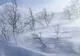 Avertizare meteo: Cod Portocaliu și Cod Galben de viscol! Zonele lovite