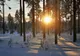 Prognoza meteo luna februarie 2019. Temperaturi peste normele perioadei