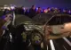 Accident cumplit pe A1. Cinci persoane, rănite. Șoferul vinovat a fugit de la fața locului