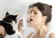 Cum se manifestă alergia la părul de animale?