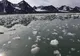 O bacterie foarte periculoasă a fost descoperită în Oceanul Arctic