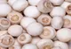 Adevărul nespus despre ciupercile Champignon din supermarketuri. Le consumi fără să ştii asta