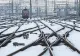 Cum vrea guvernul să crească traficul feroviar până în 2026. DOCUMENT