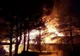 Incendiu violent, la un atelier de tâmplărie din Prahova