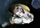 NASA: Sonda lansată dincolo de sistemul nostru solar trimite imagini şi observaţii