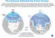 Ce e un vortex polar? 