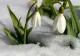 Vești bune de la meteo! Prognoza meteo pentru următoarele zile