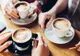 Am putea rămâne fără cafea. Majoritatea speciilor se află în pericol de dispariţie