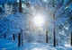 Prognoza ANM a fost revizuită! Se anunță schimbări meteo DRAMATICE, în următoarea lună