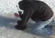 Au tot tras de fir, până când au simțit ceva greu. Nu le-a venit să creadă ce au scos pe copcă