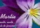 Felicitări de 1 Martie: Mesaje cu O PRIMĂVARĂ FRUMOASĂ!