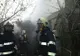 Cinci pisici și trei căței salvați dintr-un incendiu, la Ploieşti (VIDEO)
