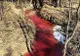 Secretul sumbru al râului de sânge care i-a îngrozit pe localnicii din Siberia