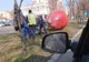 Primăria Bistrița, nevoită să mute merele gigant care îi încurcau pe pietoni