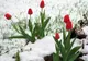 Prognoza ANM, revizuită! Se anunță schimbări meteo DRAMATICE, în următoarea lună. Vremea de 1 martie