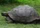 Descoperire fascinanta făcută de cercetători 