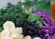 Vitamina mai puţin cunoscută care ajută la vindecarea mai multor boli