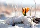 Prognoza meteo a fost revizuită. Schimbări spectaculoase: cum va fi vremea până pe 18 martie