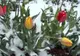 Cum va arăta începutul primăverii și la ce temperaturi trebuie să ne așteptăm. Prognoza ANM pentru următoarele 4 săptămâni 
