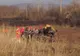 Accident cumplit. O femeie a fost decapitată. Imagini de coșmar 