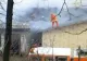 9.000 de pui au murit asfixiați în urma unui incendiu la o fermă de pui din județul Constanța
