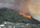Incendiu de proporţii într-o pădure. Pompierii au solicitat sprijin aerian