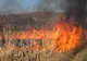 Zi de foc! Un alt incendiu de vegetație! Ard deja case 