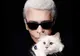 Pisica lui Karl Lagerfeld va lansa o linie de haine