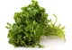 Salata de pătrunjel verde care te ajută să slăbeşti rapid, frumos şi sănătos