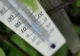 METEO. Ce temperaturi vom avea în prima săptămână din aprilie. Vremea ne face surprize